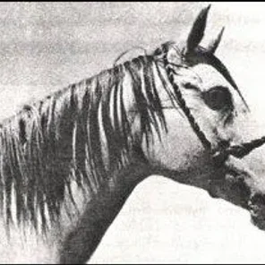 JALILA