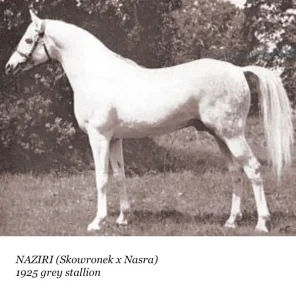 Naziri