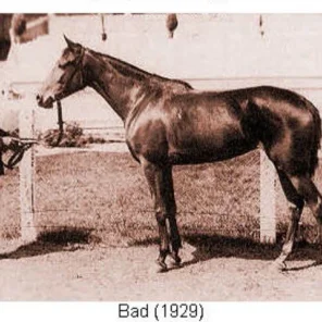 BAD