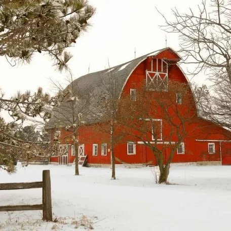 Covered Bridges and Winter Barns