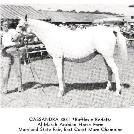 CASSANDRA