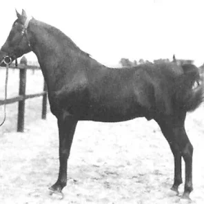 IBN RABDAN