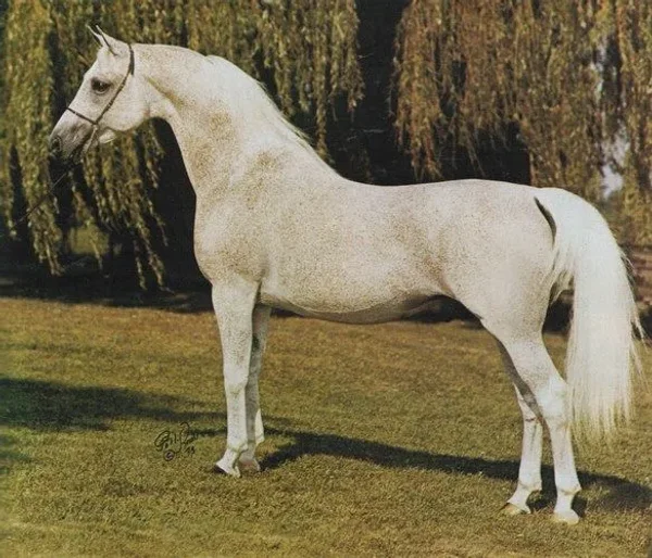 *GWAR