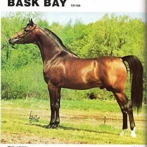 Bask Bay
