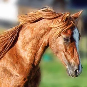 Caspian