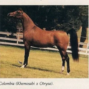 Colombia