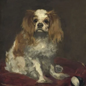 The Tudors Beloved Pets Pt 1