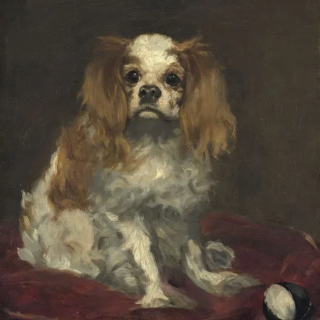 Pets of the Tudors