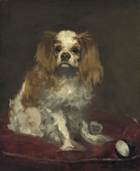 Pets of the Tudors