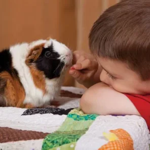 Health Benefits of Animals