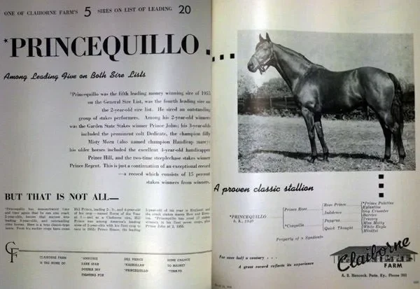 Princequillo