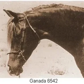Ganada