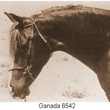 Ganada
