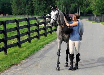 Sizing Up Off-Track Thoroughbreds for Other Disciplines