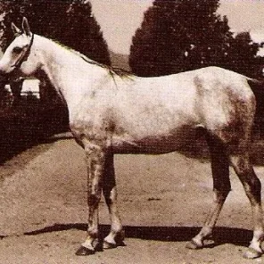 KARINKA