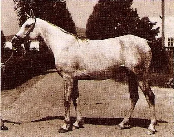 KARINKA