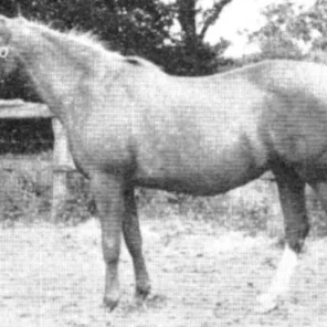 MIFARIA