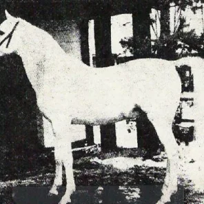 NAHARIN