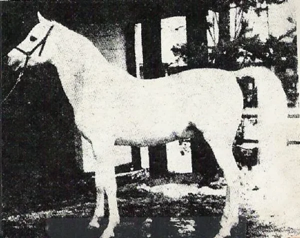 NAHARIN