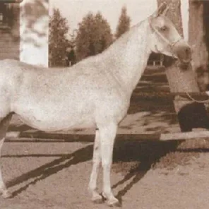 NAJADA