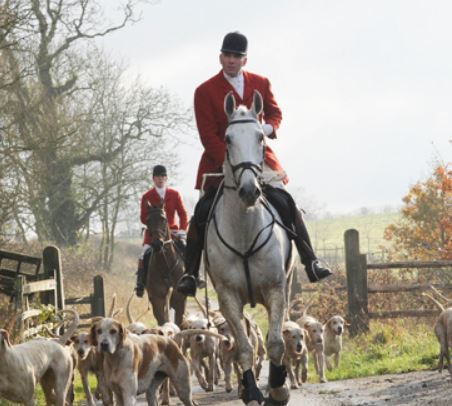 A beginner’s guide to hunting: all your questions answered