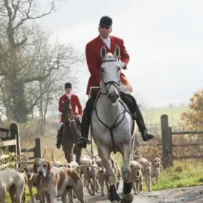 A beginner’s guide to hunting: all your questions answered