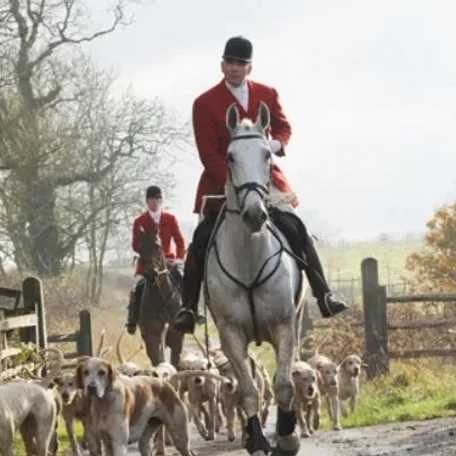 A beginner’s guide to hunting: all your questions answered