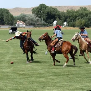 Cowboy Polo