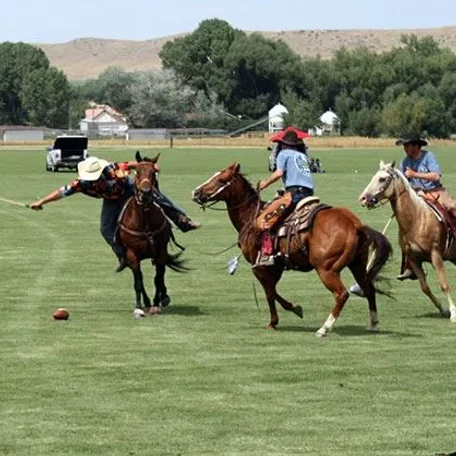 Cowboy Polo