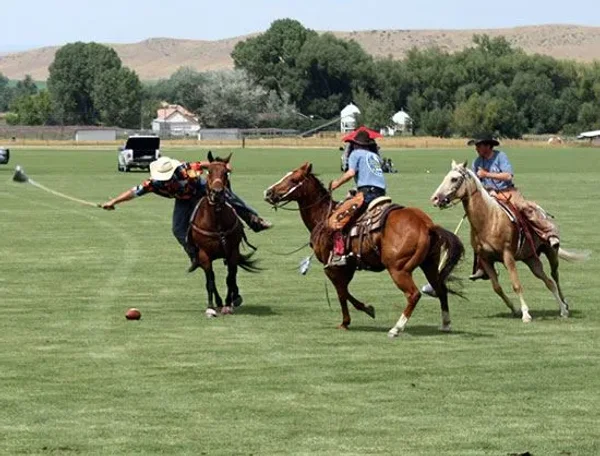 Cowboy Polo
