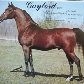 Gaylord