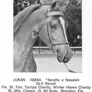 JUKAN