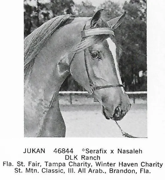 JUKAN