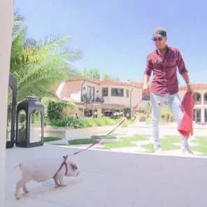 Hollywoods Stars and Some of Their Pets
