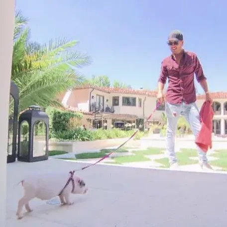 Some of Hollywood's Biggest Stars and a Few of Their Pets