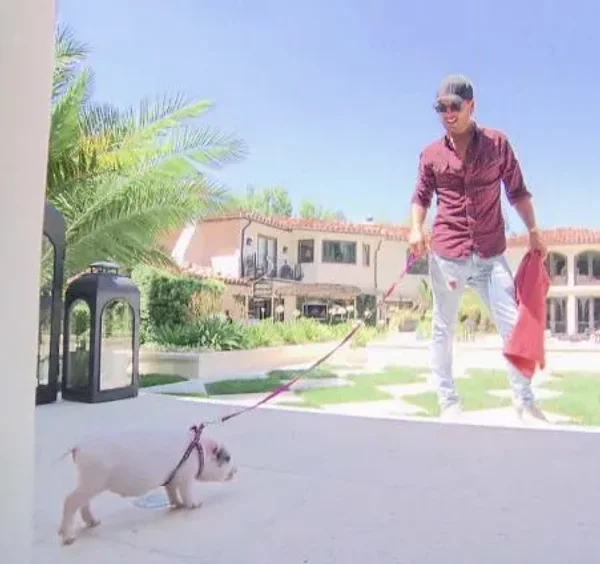 Some of Hollywood's Biggest Stars and a Few of Their Pets