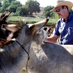 Wild Horse Inmate Program