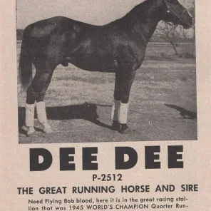 Dee Dee