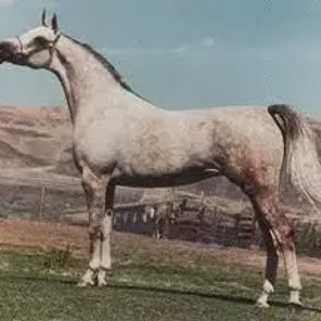 NAHARRA