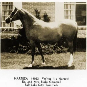 NARTEZA