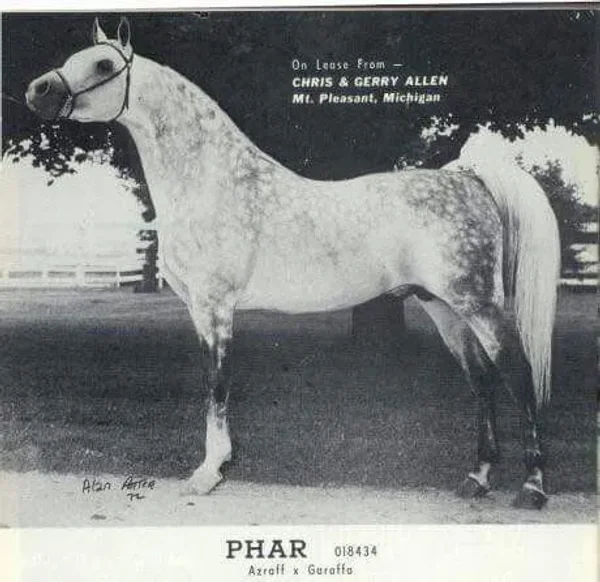 PHAR++