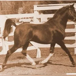 ERRABI