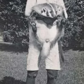 WHITE HOUSE PETS (1953-PRESENT)