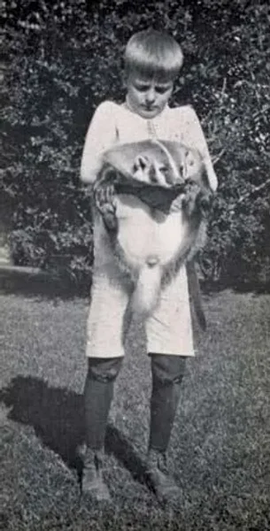 Our U.S. Presidents and some their Pets