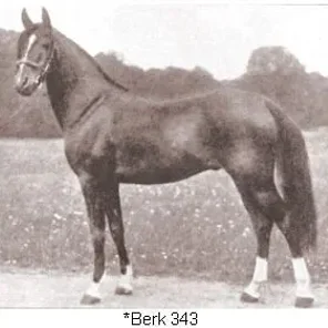 Berk