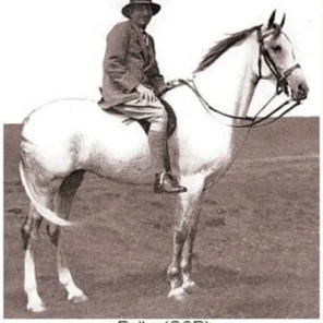 Belka