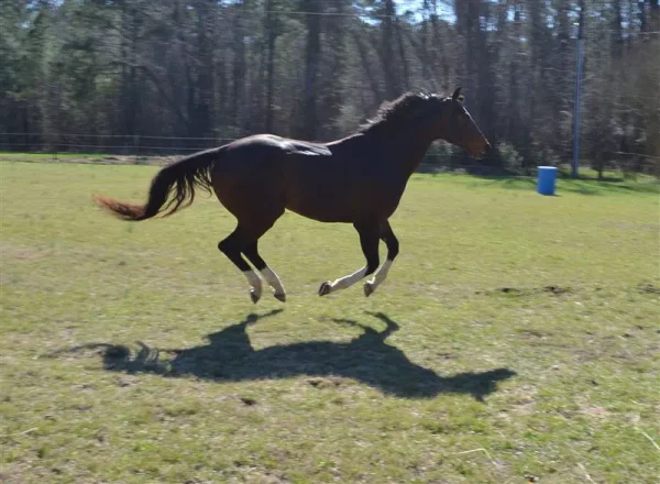 Catalpa Hill Training Center