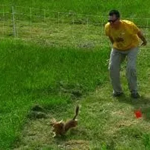 Earthdog Test