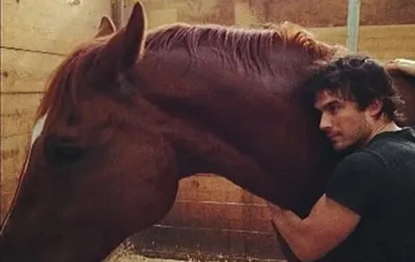 Ian Somerhalder and his girlfriend Nikki Reed have expanded their family yet again with another pet according to an Instagram picture Ian posted on Sunday afternoon (November 2).