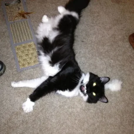 Milo is ... special.